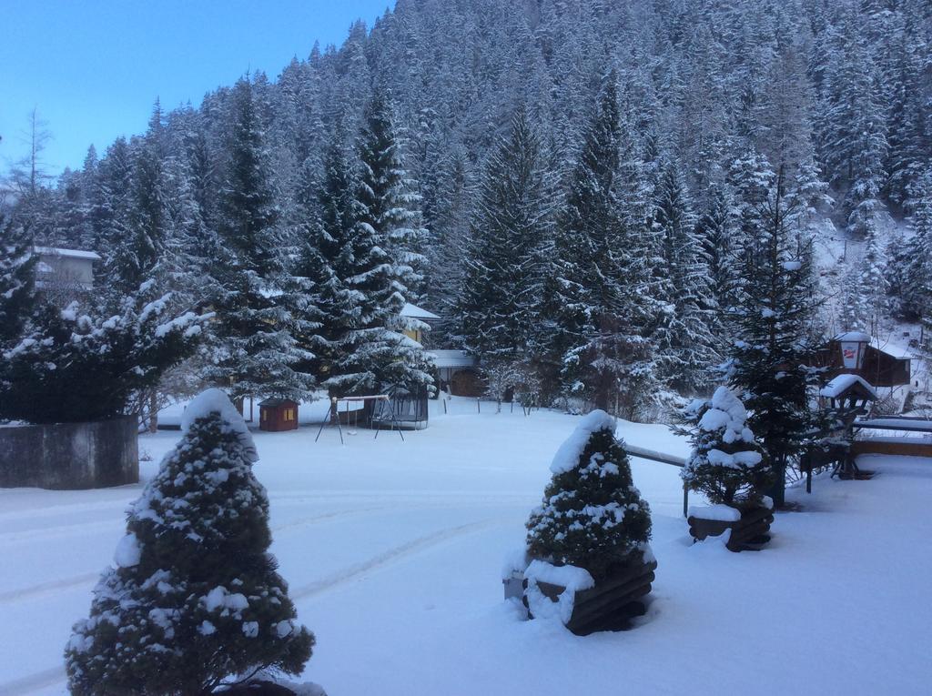 ببيرفيير Hotel Alpina Regina المظهر الخارجي الصورة